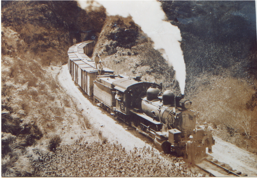 Locomotora