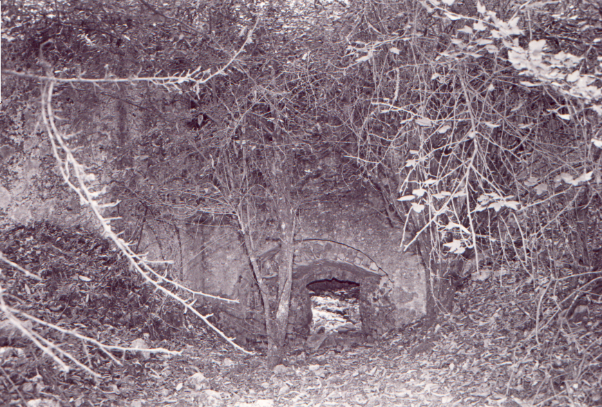 RUINAS DE LOS HORNOS DE CAL EN  ACUACO